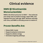 NMN - Boost Health & Longevity